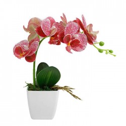 Sofix Artificial Flowers with Wood Pot