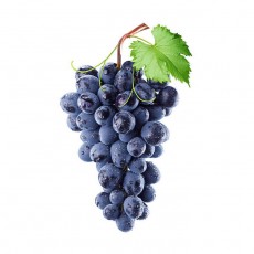 Z01 001 Fresho Grapes - Blue with 500 g